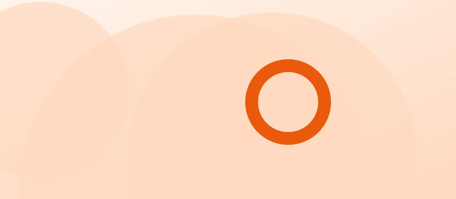 Promotional Banner